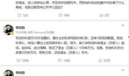 李微敖爆料视频全集,揭秘事件真相与幕后黑幕
